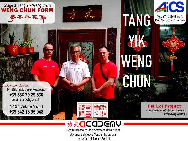 Tang Yik WENG CHUN  by GM Michael Tang  Fei Loi Project Kung Fu seminars Arti marziali cinesi Cina Italia wing chun Ip Man, weng chun Tang Yik, Chi Kung